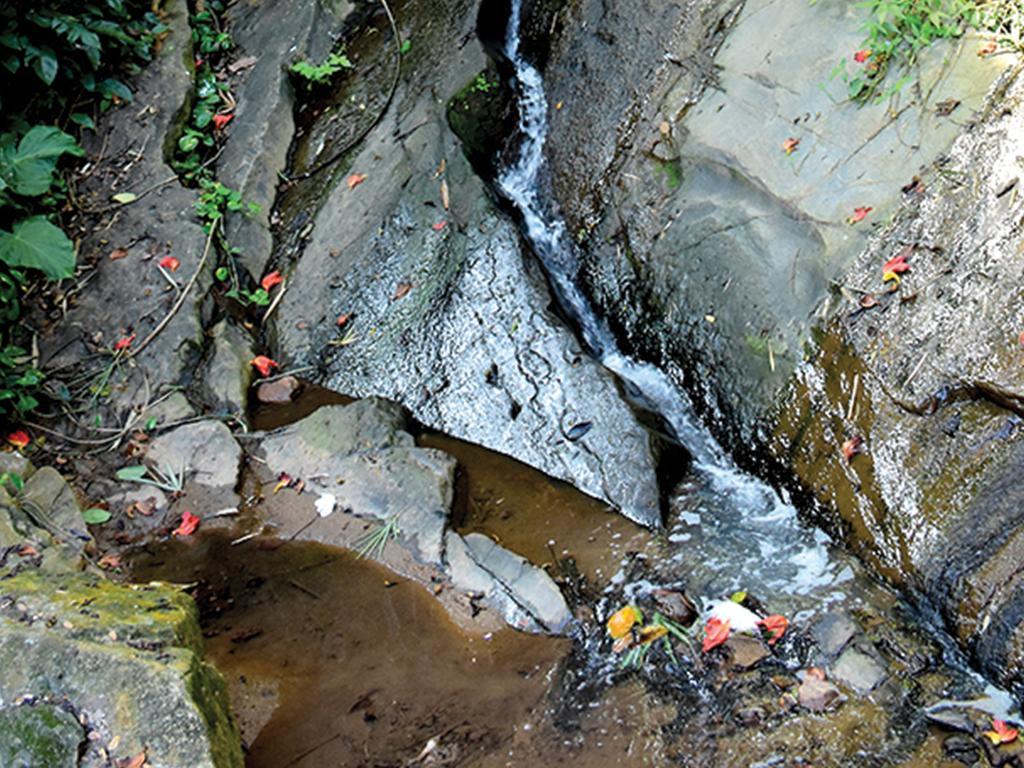 Aronka Homestay Kandy Kültér fotó