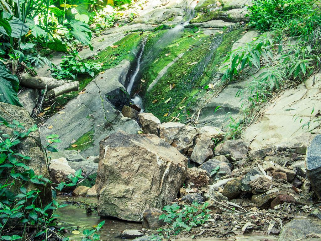 Aronka Homestay Kandy Kültér fotó